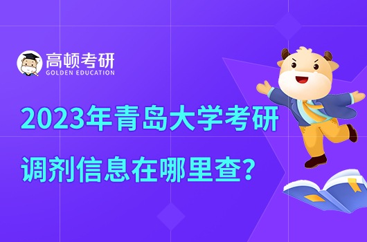 2023年青岛大学考研调剂信息在哪里查看