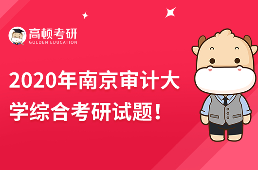 2020年南京审计大学431金融学综合考研试题一览