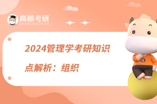 2024管理学考研知识点解析:组织