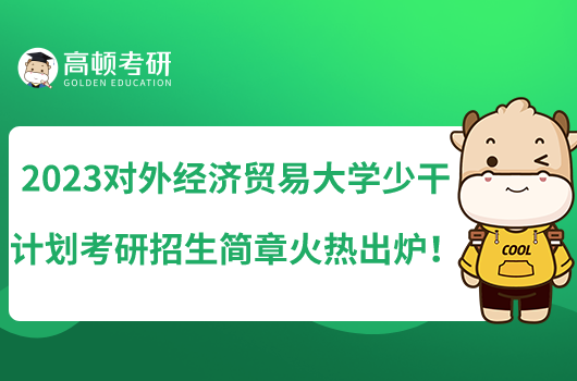 2023对外经济贸易大学少干计划考研招生简章火热出炉!