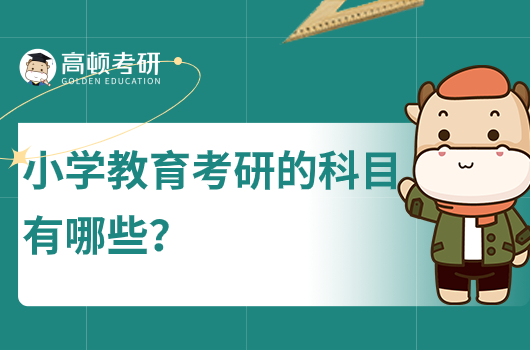 小学教育考研的科目有哪些?
