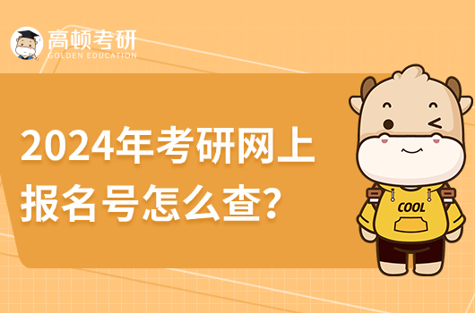 2024年考研网上报名号怎么查？